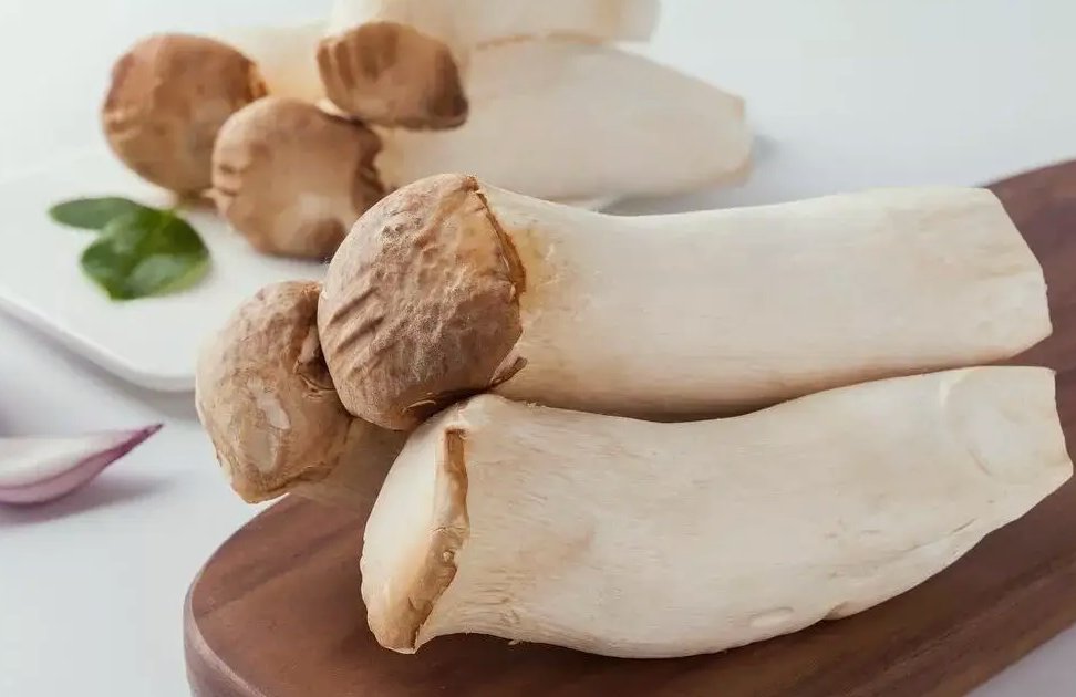 杏鲍菇生产加工废水排放流程|设备|废水排放标准 杏鲍菇生产加工废水排放流程|设备|废水排放标准