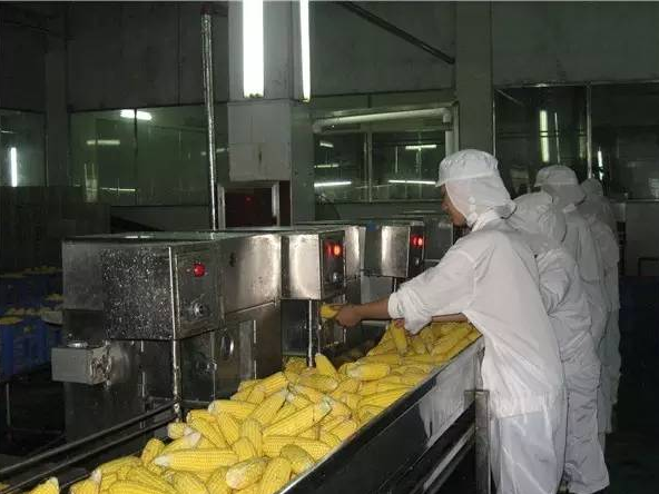 玉米加工废水处理 玉米加工废水处理