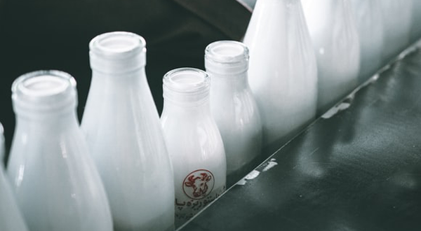 牛奶加工废水-星空游戏app官网