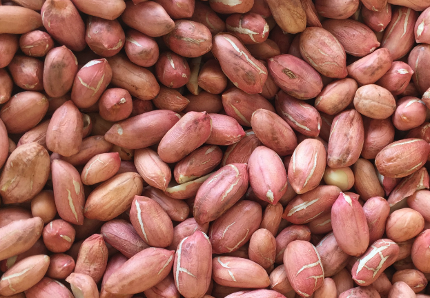 花生清洗加工废水的特点及处理方法-星空游戏网