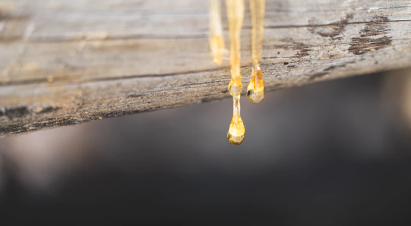 合成树脂化工厂污水处理方法及原理分析-星空游戏网