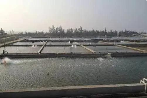 渔场养殖废水处理方案及工艺流程-星空游戏网