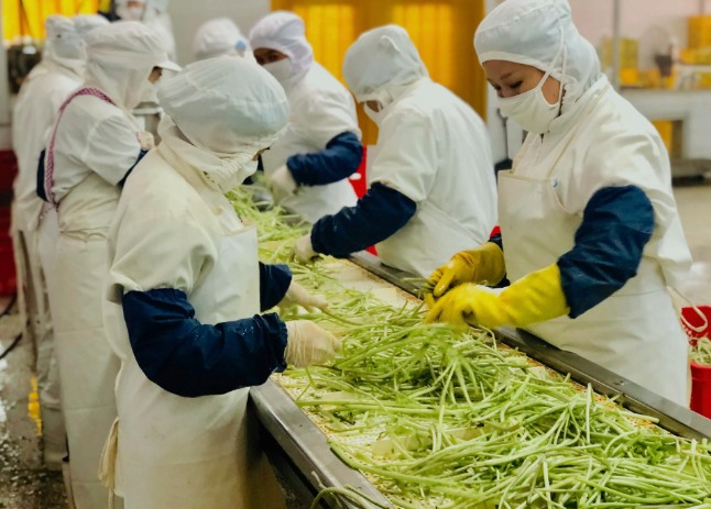 三种食品污水处理设备工艺流程,看看哪种适合您? 三种食品污水处理设备工艺流程,看看哪种适合您?