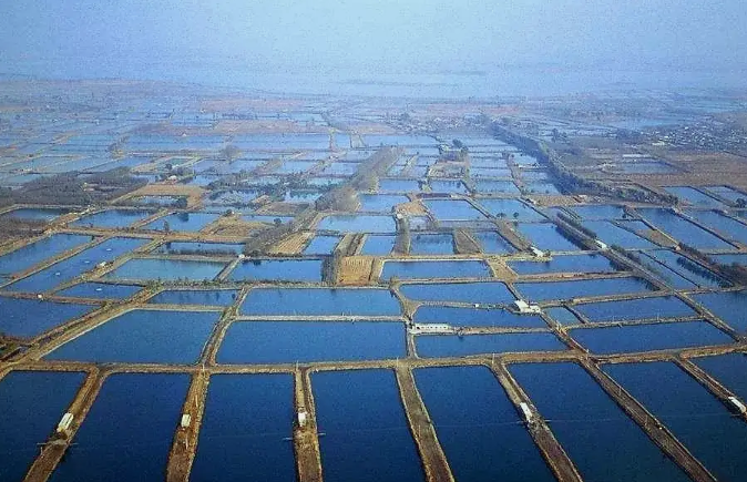 一次性说清楚水产养殖废水的主要处理工艺 一次性说清楚水产养殖废水的主要处理工艺