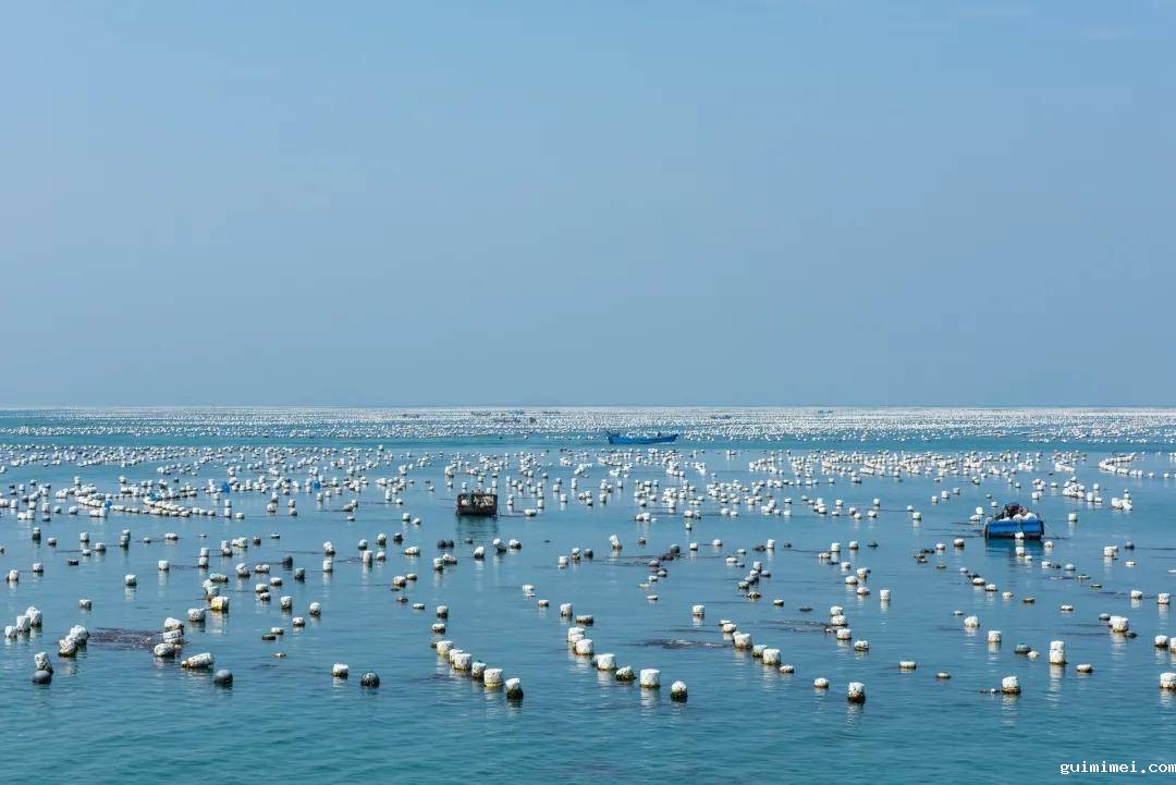 海水水产养殖废水处理方法|工艺流程|排放标准-1