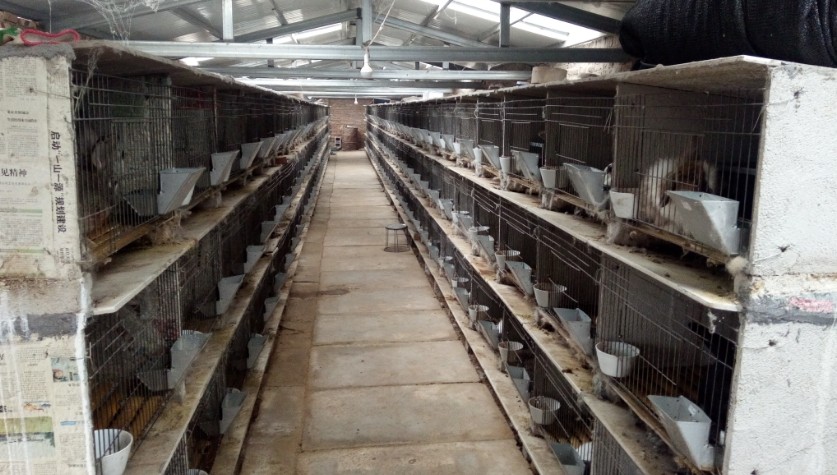 养兔厂废水处理设备-青岛星空游戏网